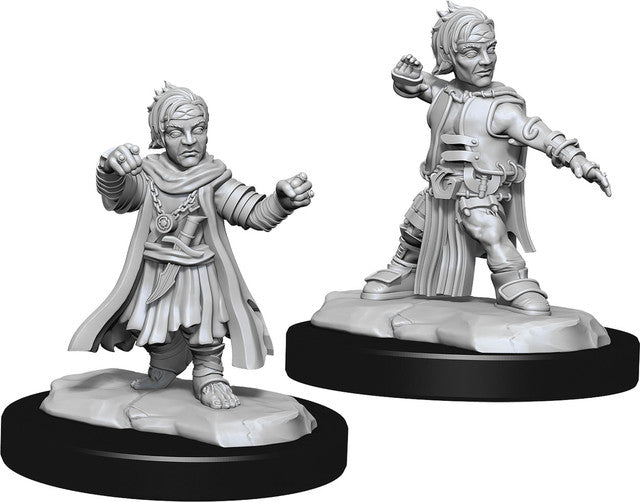 Pathfinder Deep Cuts: Halfling Monk Male