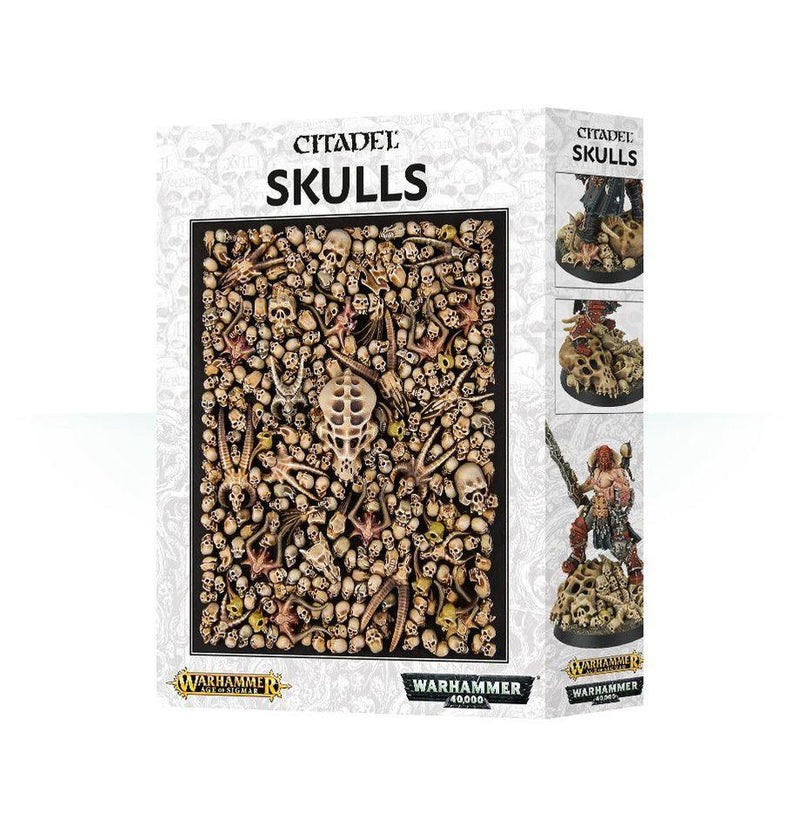 Citadel Skulls - Paradise Hobbies LLC