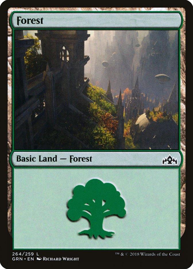 Forest (264) [Guilds of Ravnica] - Paradise Hobbies LLC